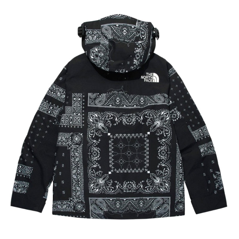 The North Face Novelty GTX Paisley Mountain Jacket Black