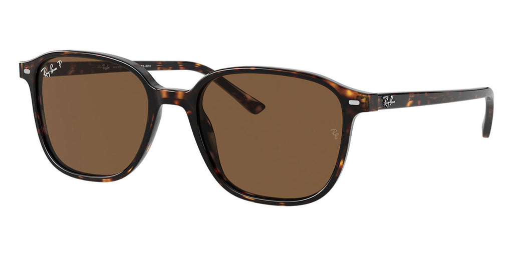 Ray-Ban Leonard RB 2193 902/57 Polarised